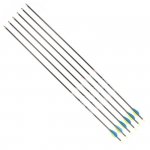 Strzały łucznicze z włókna węglowego Disport Mixx 32/1100 6 szt.