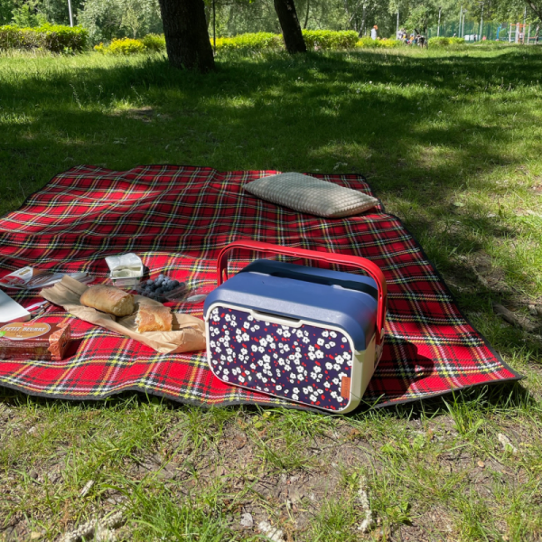 Mini lodówka turystyczna 5L KAMAI EDA wzór kwiat wiśni, lunchox na wkłady mrożące -  waniliowy korpus, czerwona rączka, błękitna