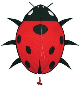 Latawiec SKYDOG - Lady Bug 39x28