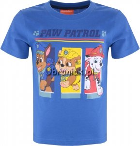 Koszulka Psi Patrol Trio niebieska