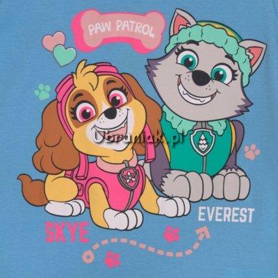 T-shirt Psi Patrol Skye i Everest niebieski