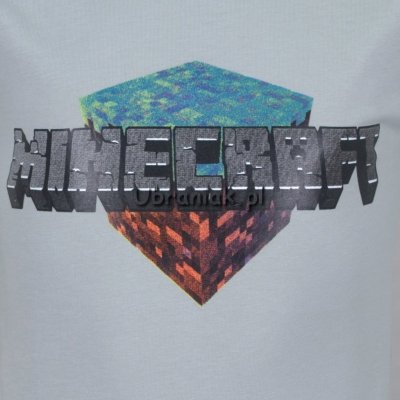 T-shirt Minecraft szary dla chłopca