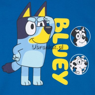Bluza Bluey niebieska