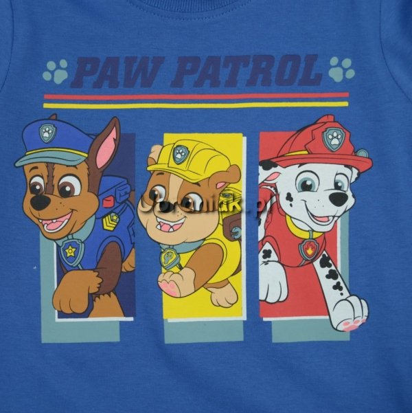 Koszulka Psi Patrol Trio niebieska