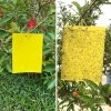 C5_tds0486_Lepy EKO na muszki mszyce owady ziemiórki 20x