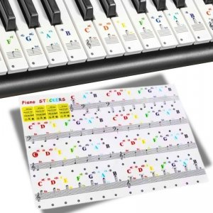 A9_tds0487_Naklejki na pianino