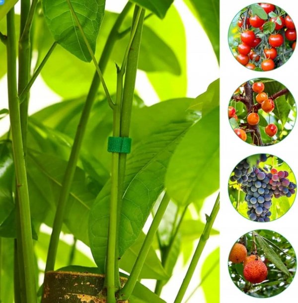 10x RZEP TAŚMA DO KWIATÓW POMIDORÓW WIĄZANIA ROŚLIN KRZEWÓW DRZEWEK KABLI ( tds0521a)