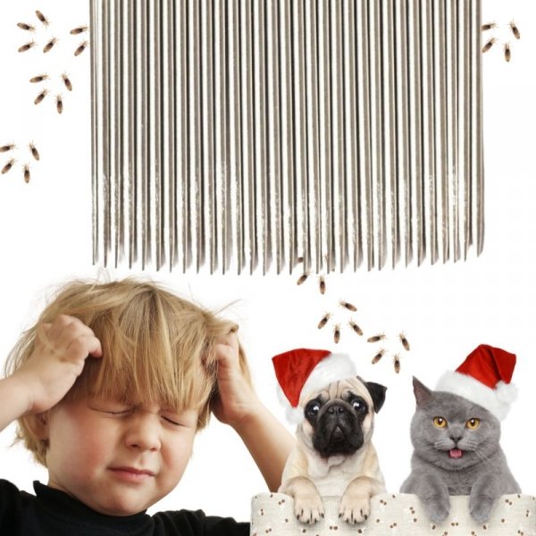 GRZEBIEŃ NA WSZY I GNIDY GRZEBIEŃ DO WYCZESYWANIA USUWANIA WSZY PRECYZYJNY ( tds0543)