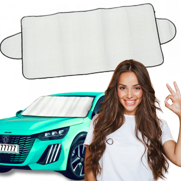 tds0522_Mata samochodowa Na miejskie auto 160X60 SMALL