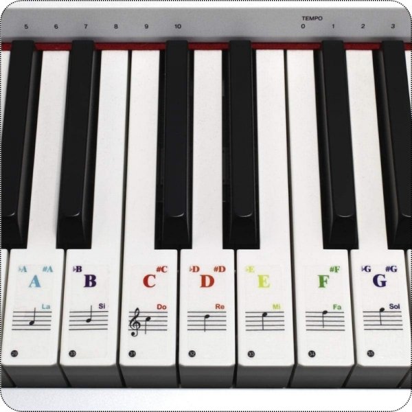 A9_tds0487_Naklejki na pianino