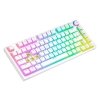 Savio Klawiatura mechaniczna bezprzewodowa SAVIO PHENIX WHITE Gateron Yellow, Pudding