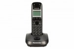 Panasonic Telefon KX-TG2511 Dect/Tytan