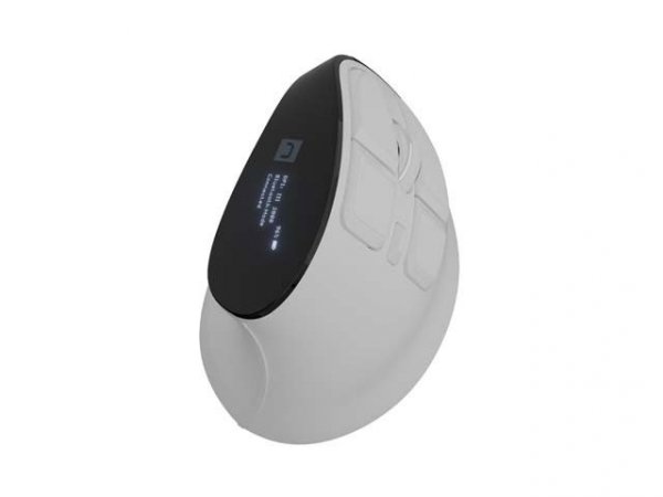 Natec Mysz wertykalna EUPHONIE PRO 2400DPI BT 5.0 bezprzewodowa biała