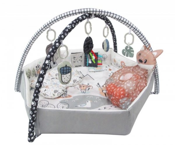 Milly Mally Mata niemowlęca centrum zabawy 5w1 Minky