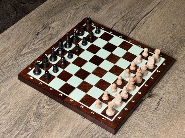 Filipek Szachy magnetyczne Asgard 28 cm