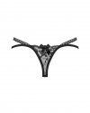 Blomentis stringi  M/L