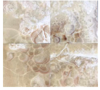 Płytki Onyx Honey – polerowane 30,5x30,5x1 cm