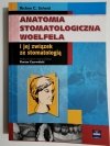 ANATOMIA STOMATOLOGICZNA WOELFELA