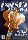 POLSKA ZBROJNA NR 6/2021