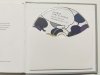CD. SŁUCHOWISKO NA MOTYWACH POWIEŚCI JOANNY CHMIELEWSKIEJ. NAJSTARSZA PRAWNUCZKA CZ.1