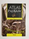 ATLAS PAJĄKÓW - Łukasz Przybyłowicz 2009