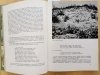 Ziemia Puszcz i Jezior - Kazimierz Saysse-Tobiczyk