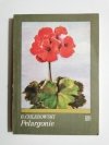 PELARGONIE - B. Chlebowski 