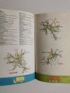 SAMOCHODOWY ATLAS POLSKI