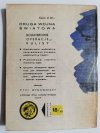 ŻÓŁTY TYGRYS: W MROKU NAD KONTYNENTEM - Tadeusz Dytko 1985