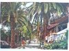 RIVIERA DEI FIORI – ALASSIO. VIALE DELLE PALME