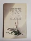 HALO, PAN BÓG? TU ANNA - Fynn 1993