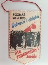 POMNIK POZNAŃSKIEGO CZERWCA 1956. PROPORCZYK