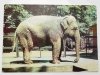 POZNAŃ. MIEJSKI OGRÓD ZOOLOGICZNY FOT. KACZYŃSKI