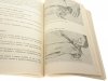 TECHNOLOGIA GASTRONOMICZNA DLA ZSZ CZĘŚĆ II 1986