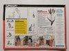 PRZEKRÓJ NR 2 (3569)/20 ZA WIOSNĘ NASZĄ I WASZĄ