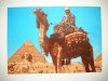 GIZA. CAMEL DRIVER NEAR THE SPHINX AND KHAFRE. PYRAMID