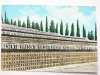 SACRARIO DI REDIPUGLIA. PARTICOLARE DEI GRADONI