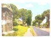 ROMA. VIA APPIA ANTICA