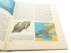 DIE TIERWELT DER ERDE - U. Sedlag 1972