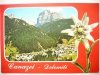 DOLOMITI – VAL DI FASSA – CANAZEI M. 1465 CIMA PORDOI M. 2950