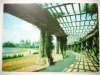 WROCŁAW. PERGOLA W PARKU SZCZYTNICKIM FOT. K. JABŁOŃSKI