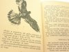 MYSZKA PIK - Witali Bianki 1972