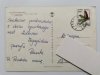 NAD JEZIOREM ZEGRZYŃSKIM FOT. ARASZKIEWICZ I INNI