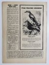 HODOWCA GOŁĘBI POCZTOWYCH NR 8 1966