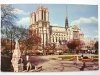 PARIS. NOTRE-DAME – SQUARE VIVIANI