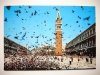 VENEZIA. PLACE ST. MARC - VOIEE DE PIGEONS