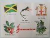 JAMAICA KOLIBER OWOCE FLAGA