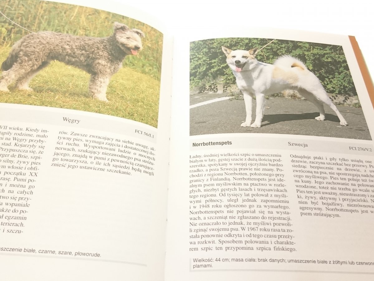 Rasy Psow Eva Maria Kramer 1998 Zwierzeta Domowe I Hodowlane