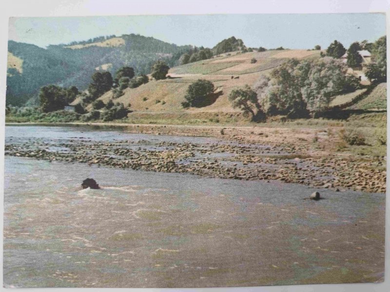 POPRAD W OKOLICY MUSZYNY
