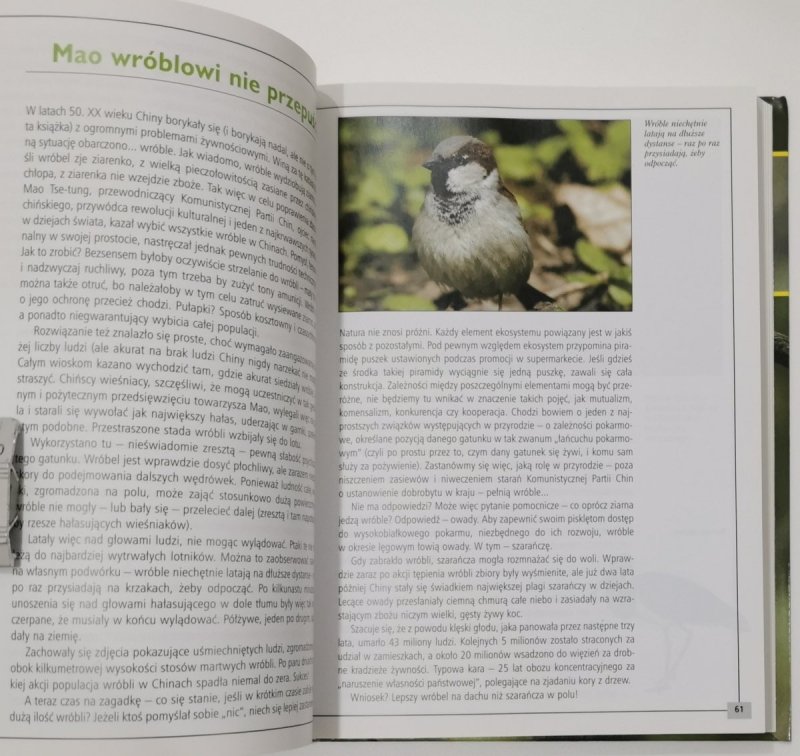 PTAKI. PROFESJONALNY PRZEWODNIK DLA POCZĄTKUJĄCYCH - Dariusz Graszka-Petrykowski